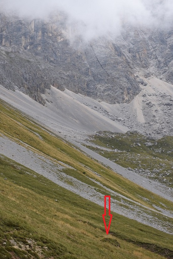 Girini di? Rana temporaria
